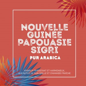 pur arabica nouvelle guinée papouasie sigri