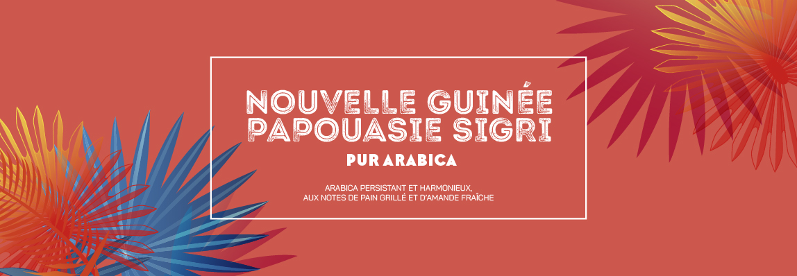 pur arabica nouvelle guinée papouasie sigri